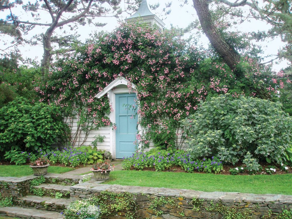 garden shed, climbing roses, estate of Oatsie Charles
