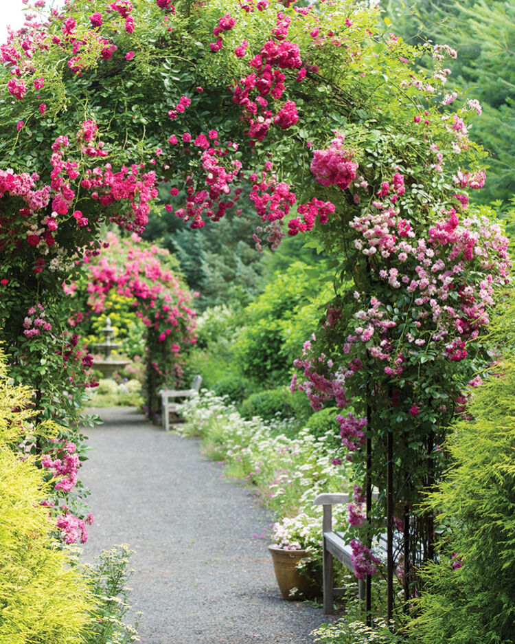 pathway lined with rose-covered archways