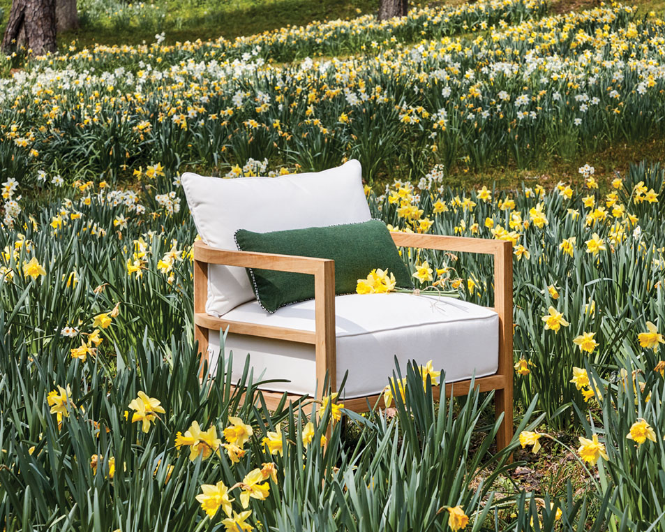 outdoor teak lounge chair in a field of blooming daffodils