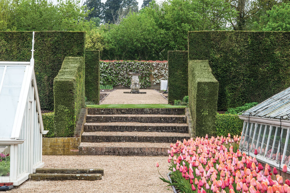 Clipped hedges flank the steps up to the vinery border. A pair of greenhouses, one with a planting of pink tulips outside stand on either side of the gravel path.