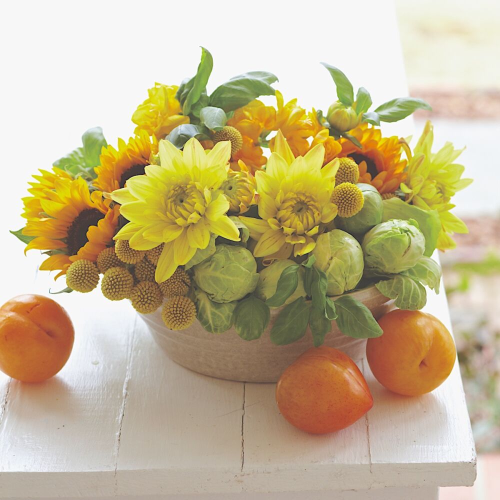 Summery yellow and green flower arrangement with dahlias, sunfowers, craspedia, basil, yellow plums, and Brussels sprouts