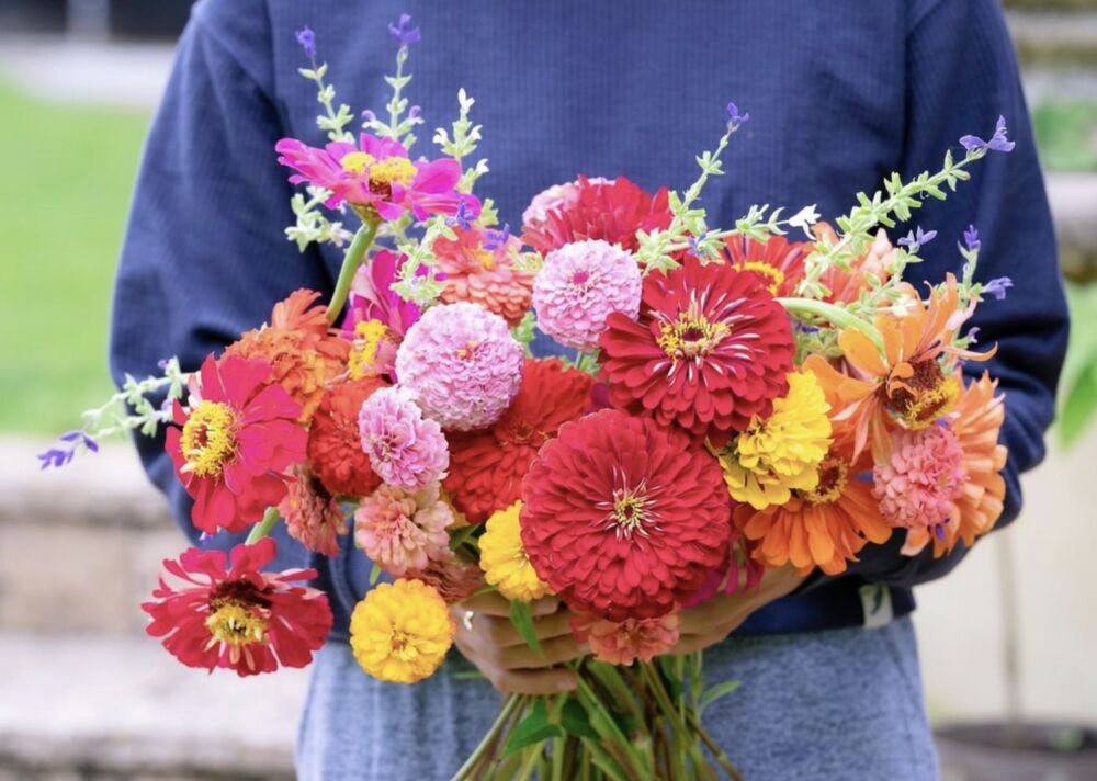 Bouquet of zinnias and clary sage