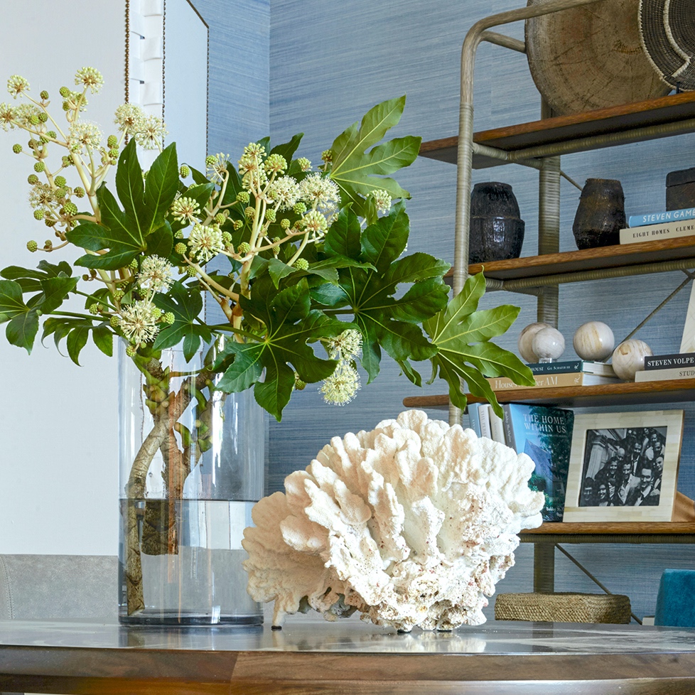 White coral and clear glass cylinder vase filled with flowering Fatsia branches arranged by Keith Robinson in Ray Booth designed family room at Flower Atlanta Showhouse