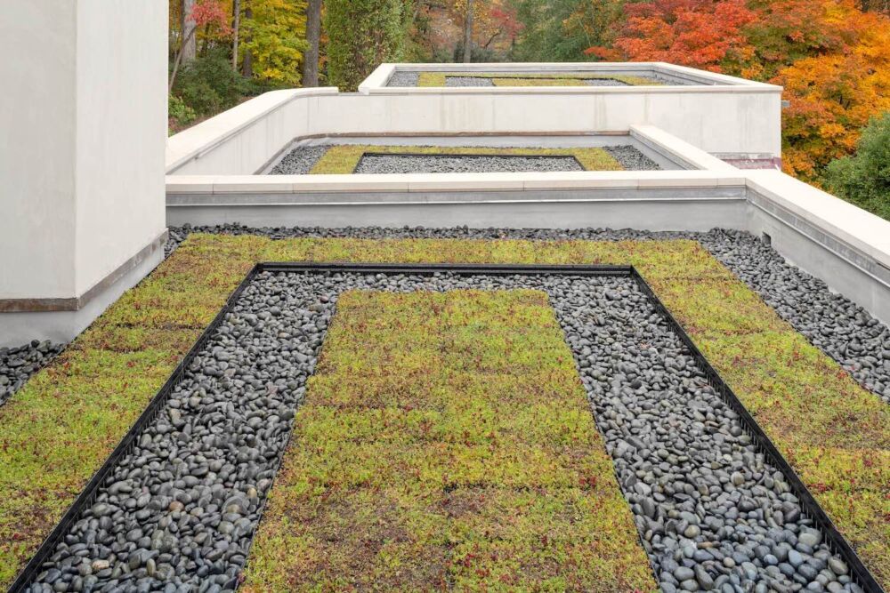 Roof garden with patterns of sedums and dark gravel on flat roofs of Flower Atlanta Showhouse.