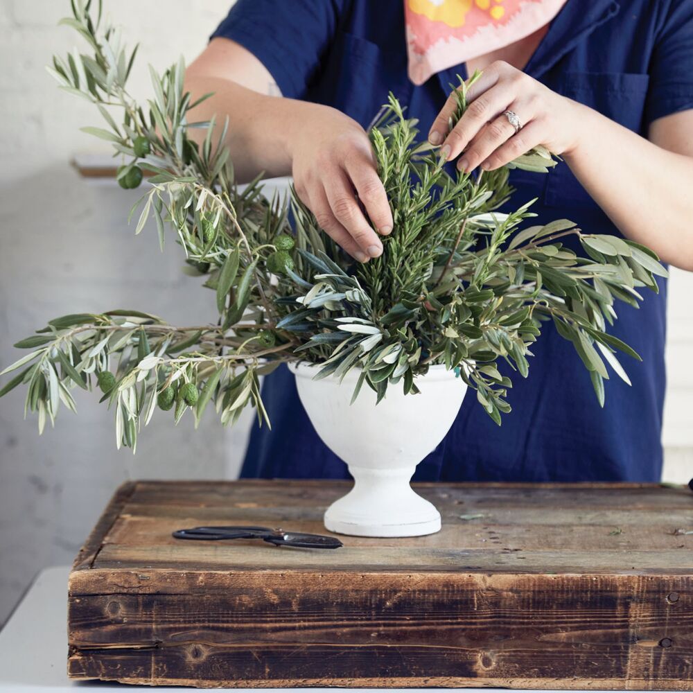 Hands adding rosemary stems to white, footed vase of olive branches