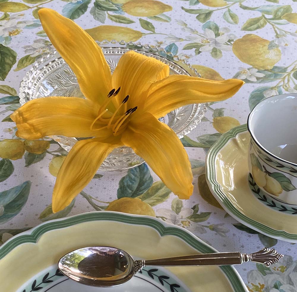 A vibrant yellow 'Mico' daylily bloom in a small glass dish beside a cup and saucer, sitting on a botanical tablecloth featuring lemons and white flowers 