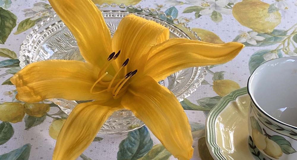A vibrant yellow 'Mico' daylily bloom in a small glass dish beside a cup and saucer, sitting on a botanical tablecloth featuring lemons and white flowers