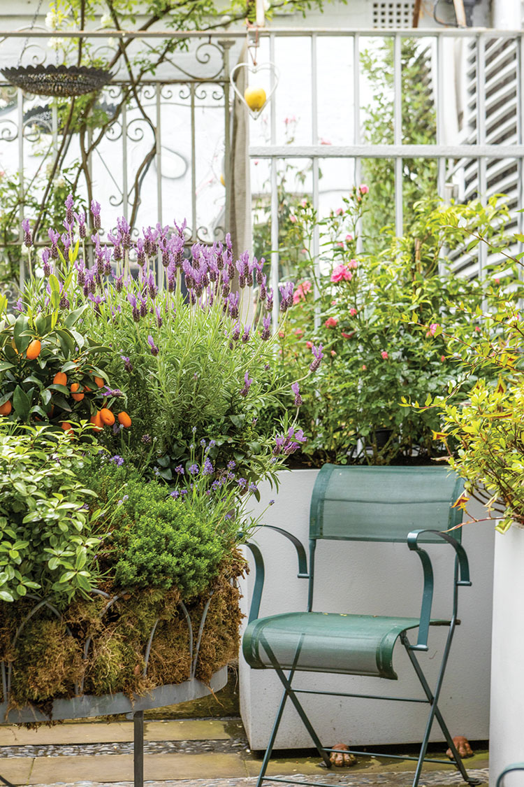 Nina Campbell's garden terrace