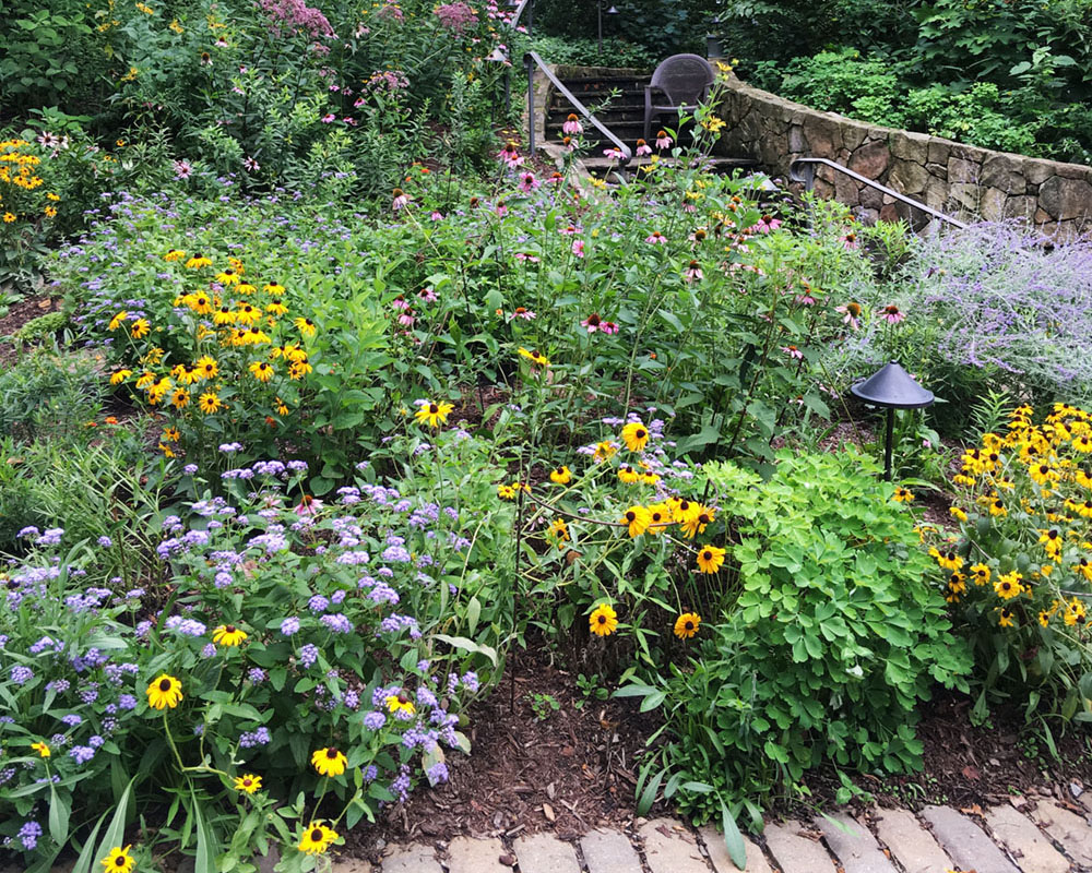 butterfly garden lined by a brick pavers