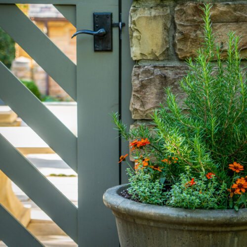 close of up garden gate and a fall container planted with rosemary and thyme