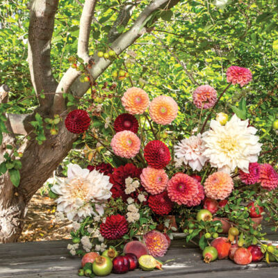 dahlia flower arrangement by Holly Vesecky of Hollyflora, in front of a background of trees