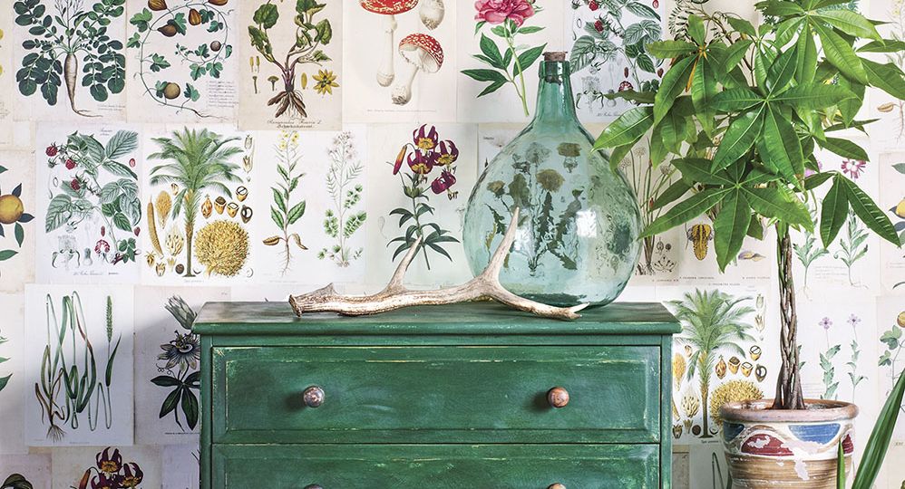 green chest in front of a wall decoupaged in botanical prints from a vintage book