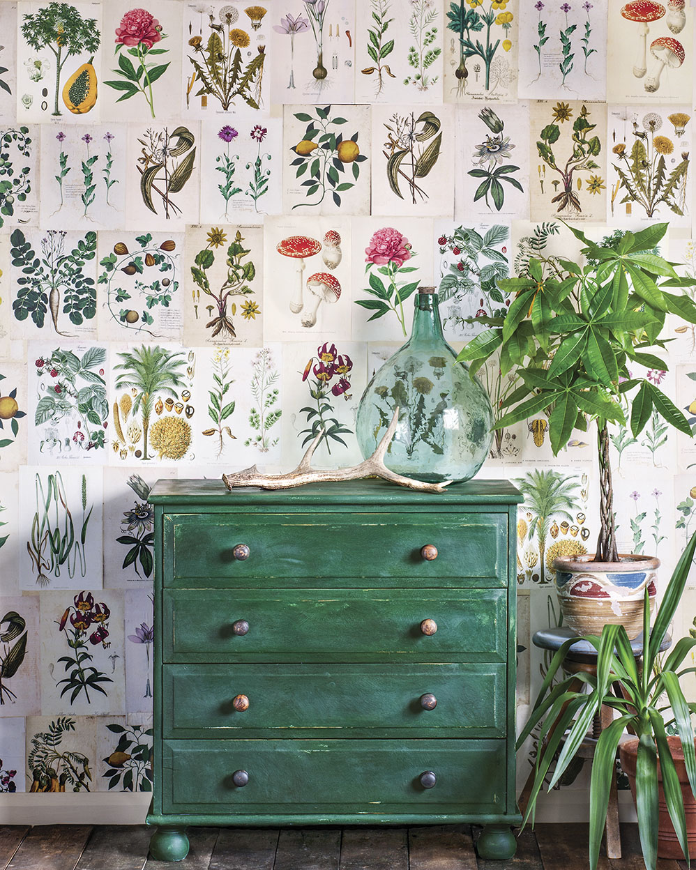 green chest in front of a wall decoupaged in botanical prints from a vintage book