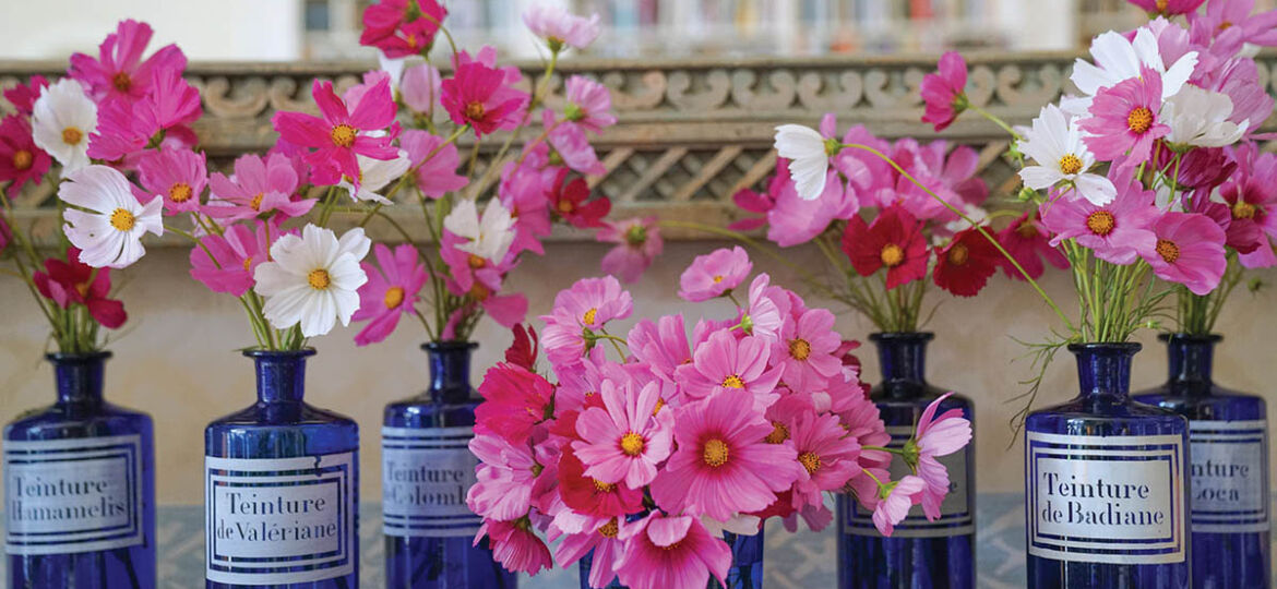 An arrangement of blue glass medicine bottles filled with pink cosmos blooms from CHARLOTTE MOSS FLOWERS