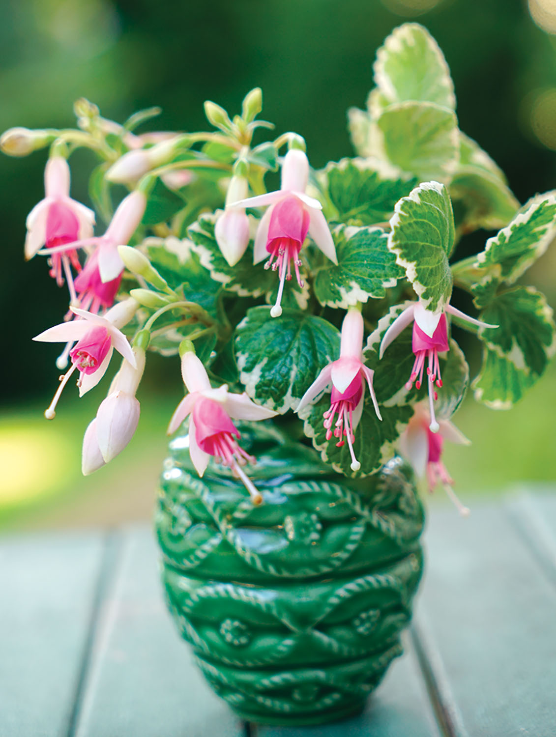 Pink fuschia blooms in a vintage green vase, from the pages of CHARLOTTE MOSS FLOWERS