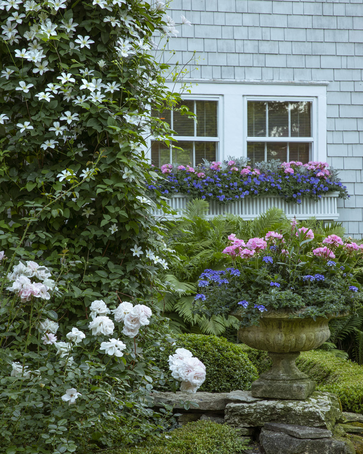 Caption from the book Gardens of the North Shore of Chicago: “Window boxes and urns overflow with pink geraniums and annuals while New Dawn climbing roses and white clematis scamper up a trellis.” (Lenhardt Garden in Winnetka)