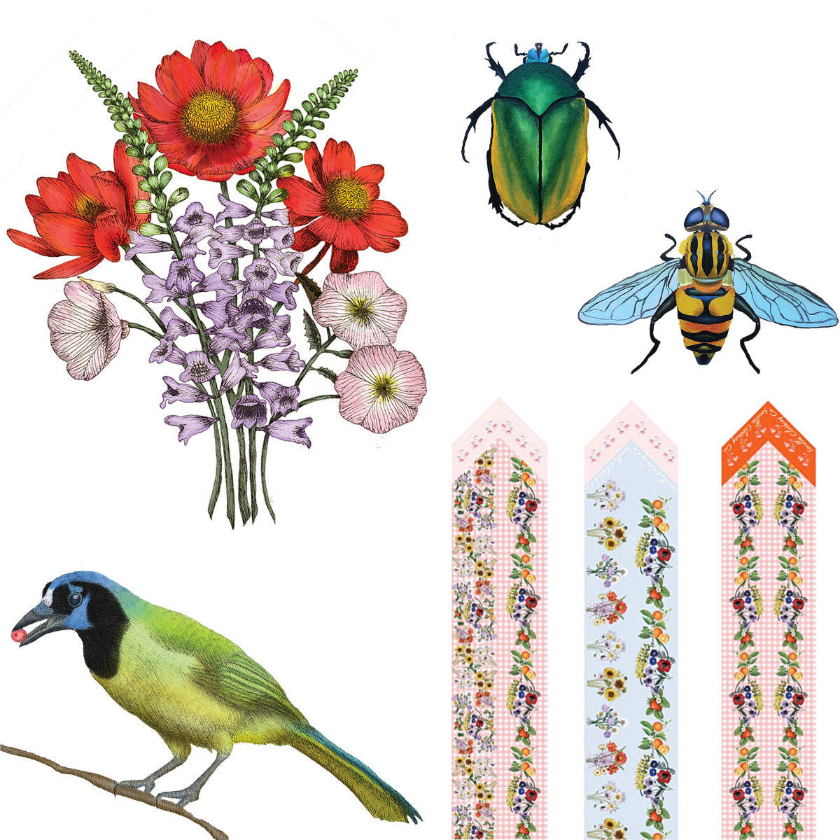 Illustrations of a bouquet of Texas wildflowers, a beetle, a bee, and a bird, and trio of ribbons from Sorella