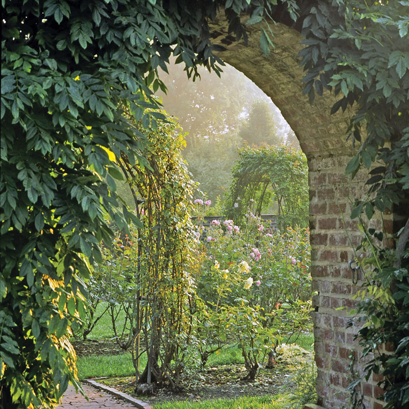 rose garden at Ladew, framed by a brick archway