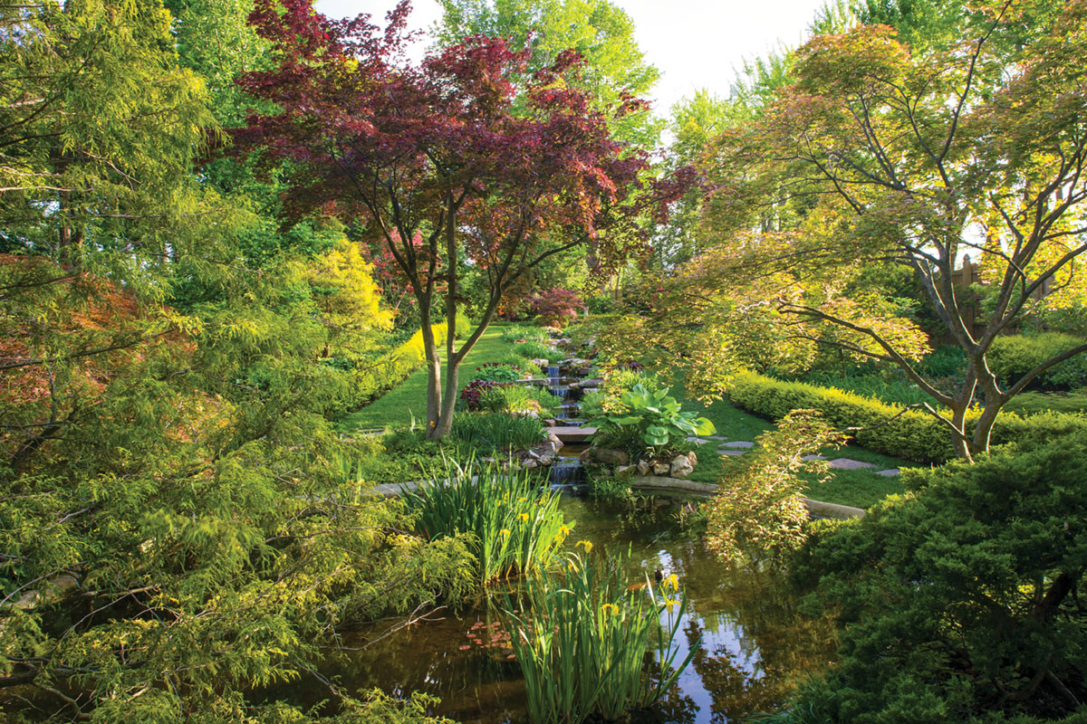 Ladew Yellow Garden, Japanese maples, pond garden, stream
