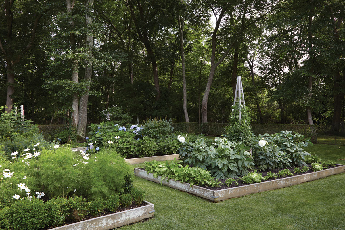vegetable garden parterre, Lisa Bynon Hamptons garden