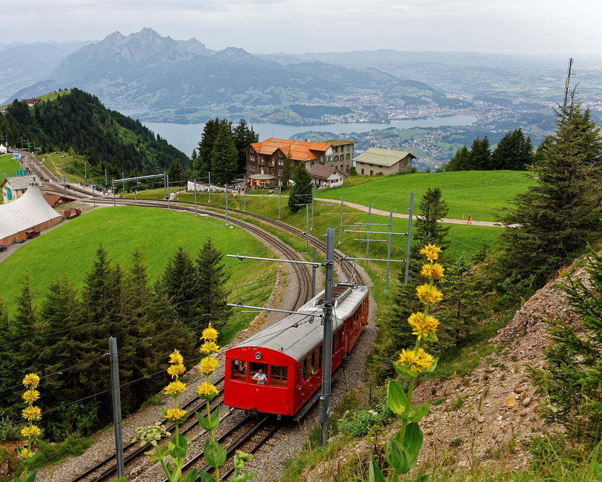 A tourist train travels on the cogwheel railway through the green grassy meadows on Mt. Rigi, with rugged Pilatus peaks among majestic mountains by Lake Lucerne on a cloudy summer day in Switzerland