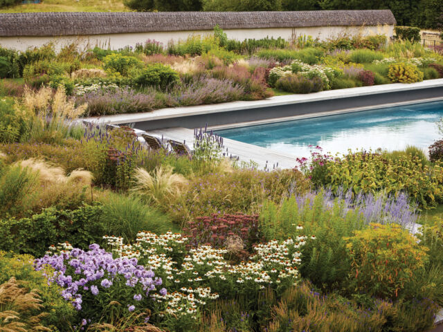 Pool garden. Landcape design by Tom Stuart-Smith from his book, Drawn from the Land
