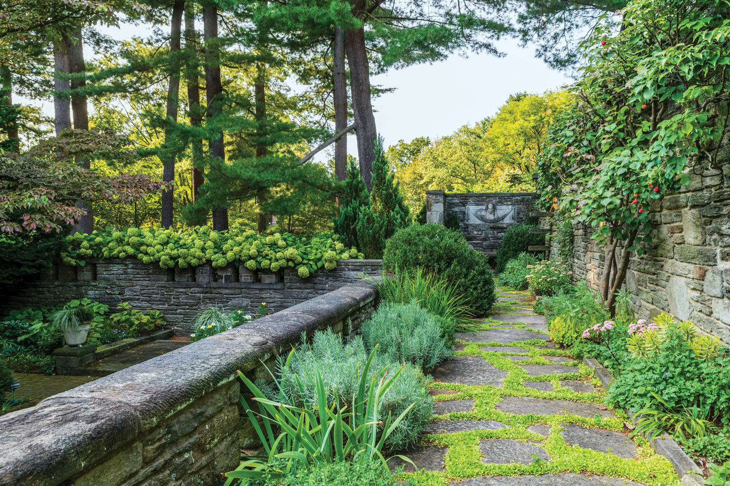 grounds of Krisheim estate, hydrangea border, landscape design by Fred Dawson of Olmsted Brothers, garden terrace