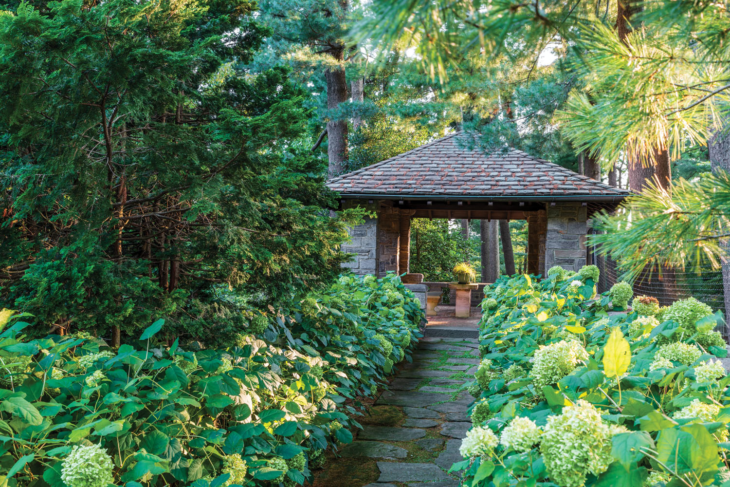 grounds of Krisheim estate, hydrangea border, landscape design by Fred Dawson of Olmsted Brothers