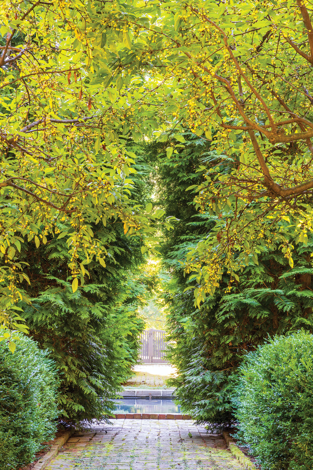 brick path through the gardens at Krisheim, landscape design by Fred Dawson of Olmsted Brothers