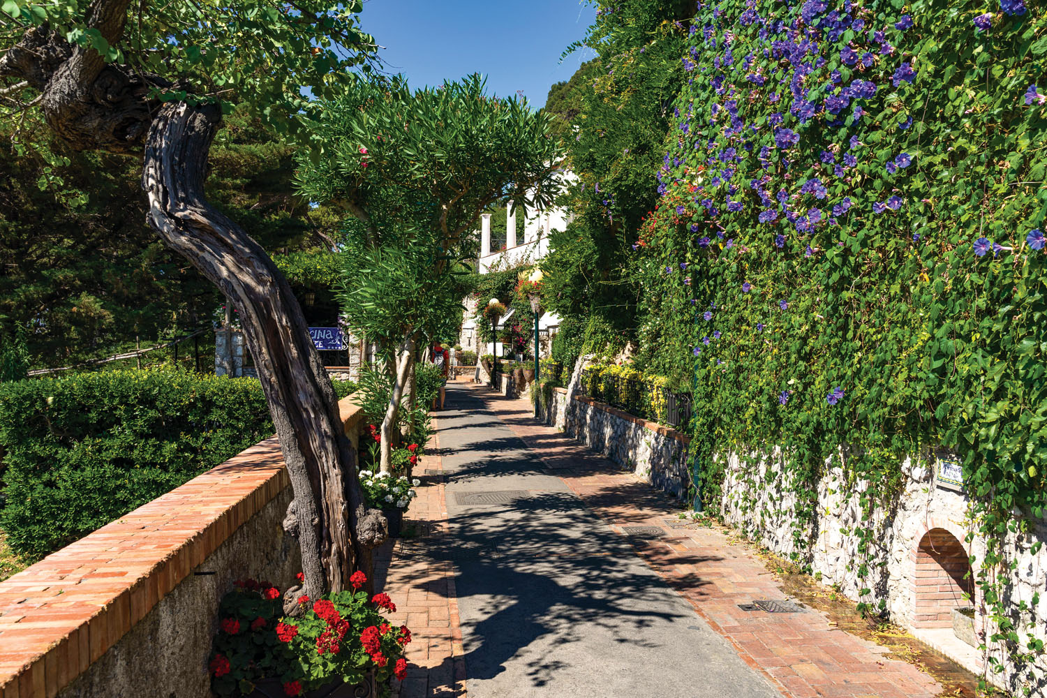 2A74X37 Capri promenade in a beautiful summer day leading to Gardens of Augustus, Campania, Italy