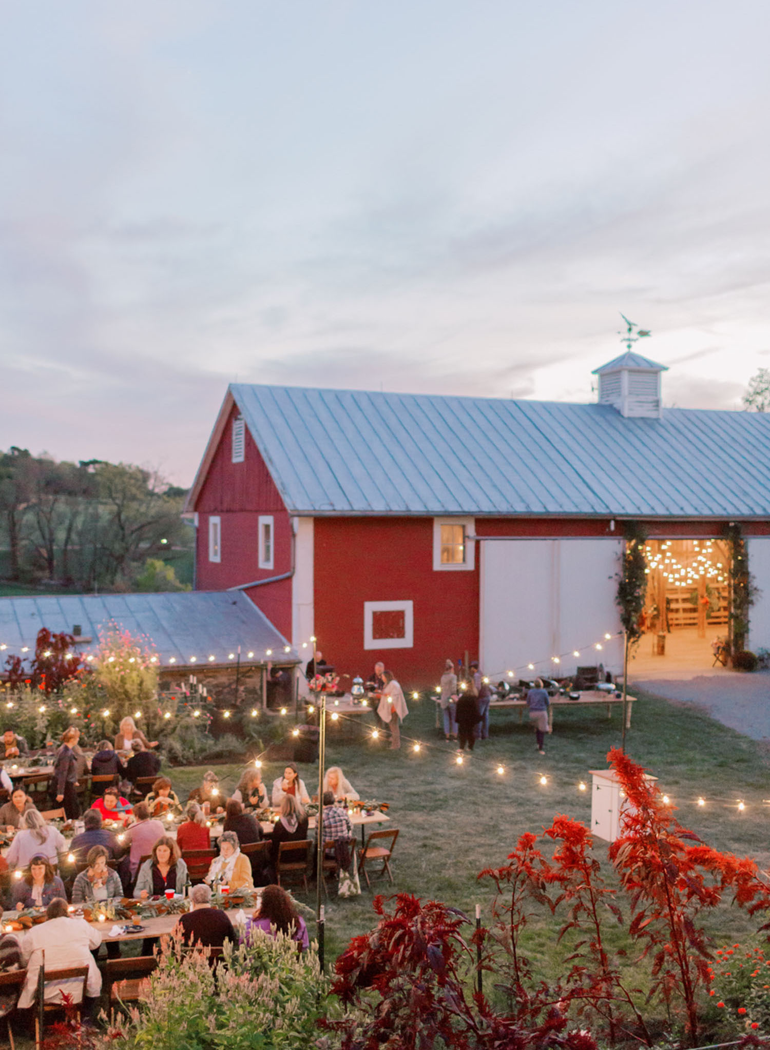 String lights illuminate tables at an outdoor celebration at dusk. In the background is a large red barn with a tin roof and weather vane