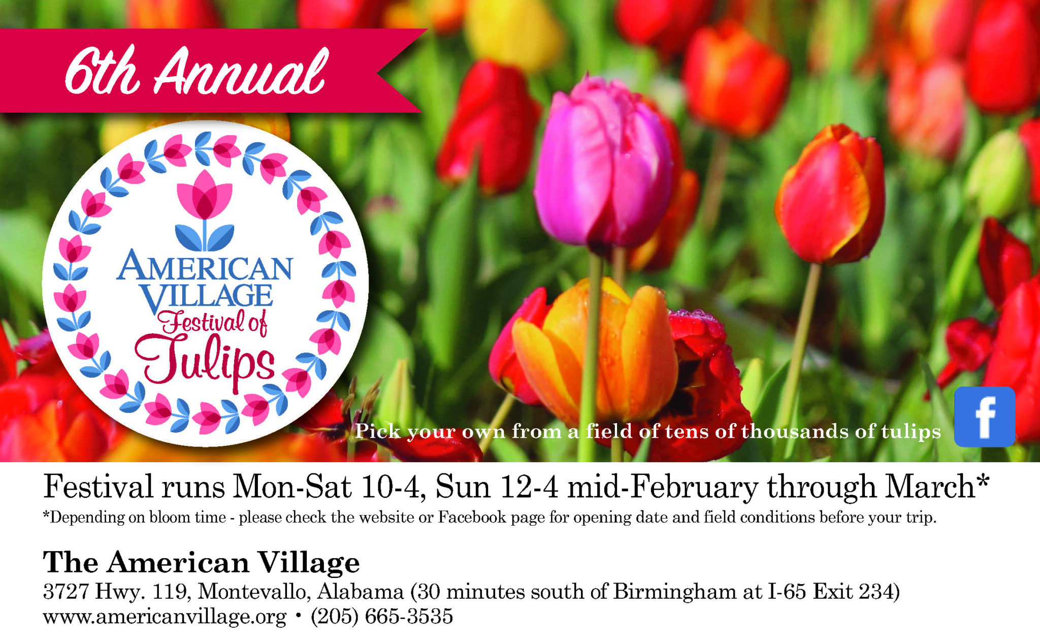 6th Annual American Village Festival of Tulips, Montevallo, Ala