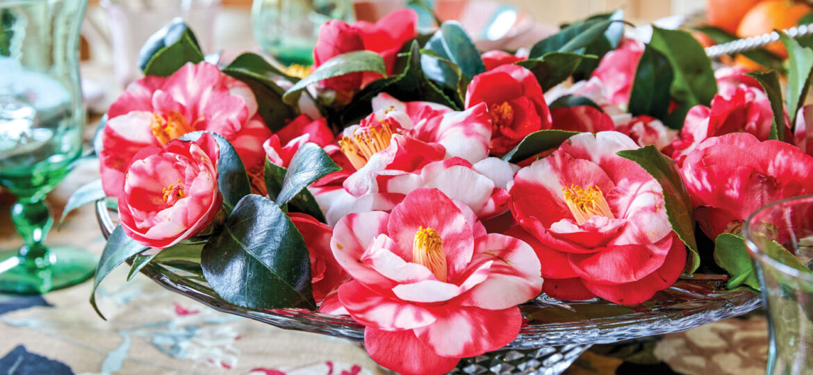 arrangement of camellias floating in bowl