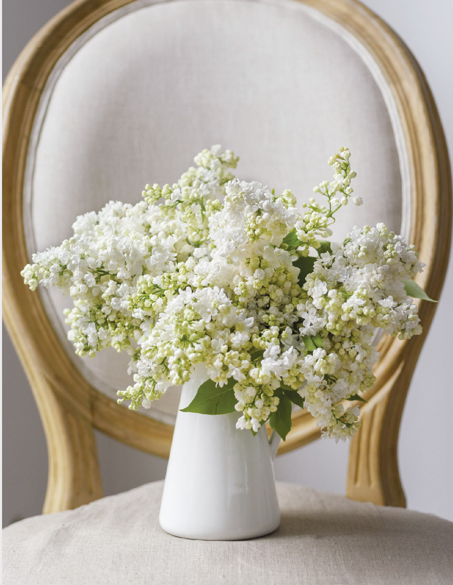 Arrangement of white lilacs in a white ceramic pitcher