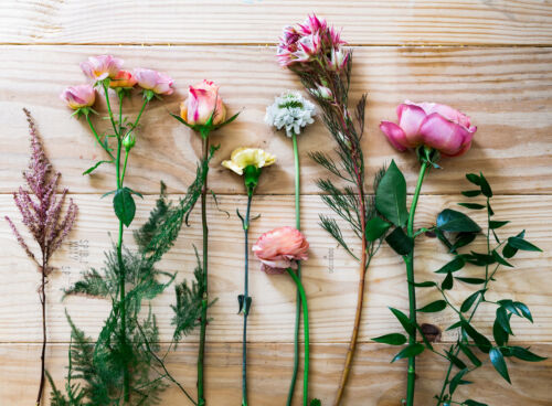 flowers for radiant arrangement