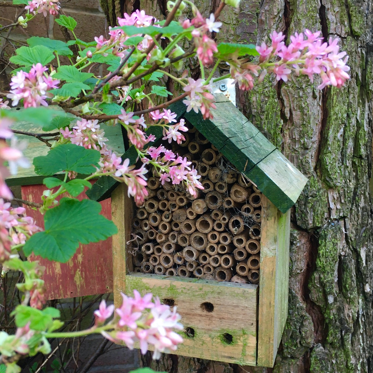 Bee hotel insect hotel