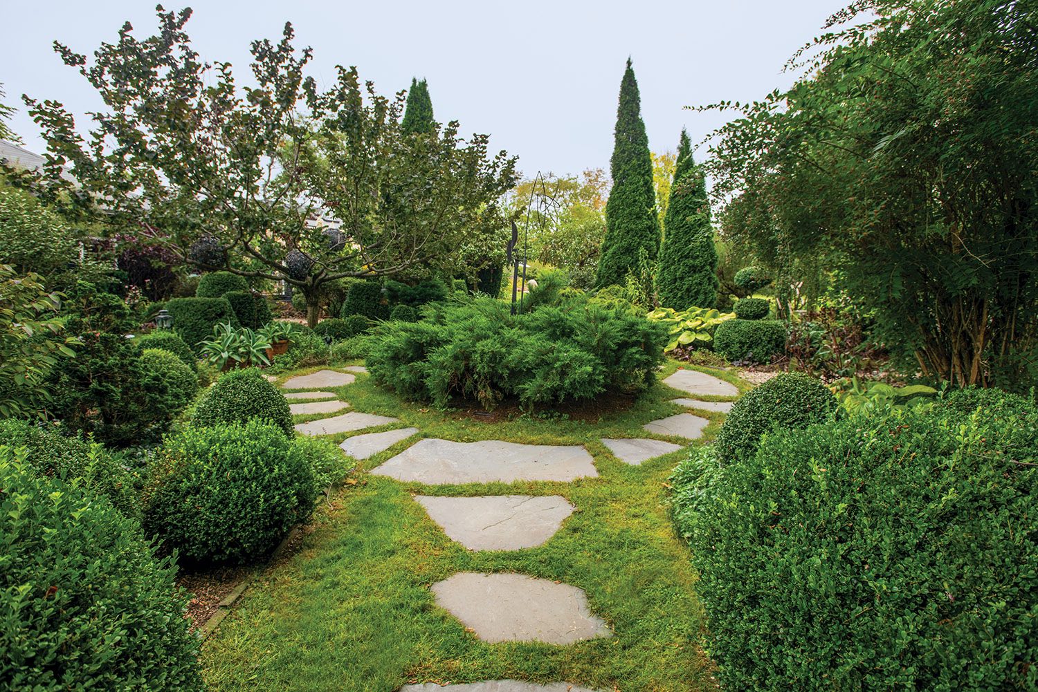 Garden pathway surrounded by grass and evergreen plantings.