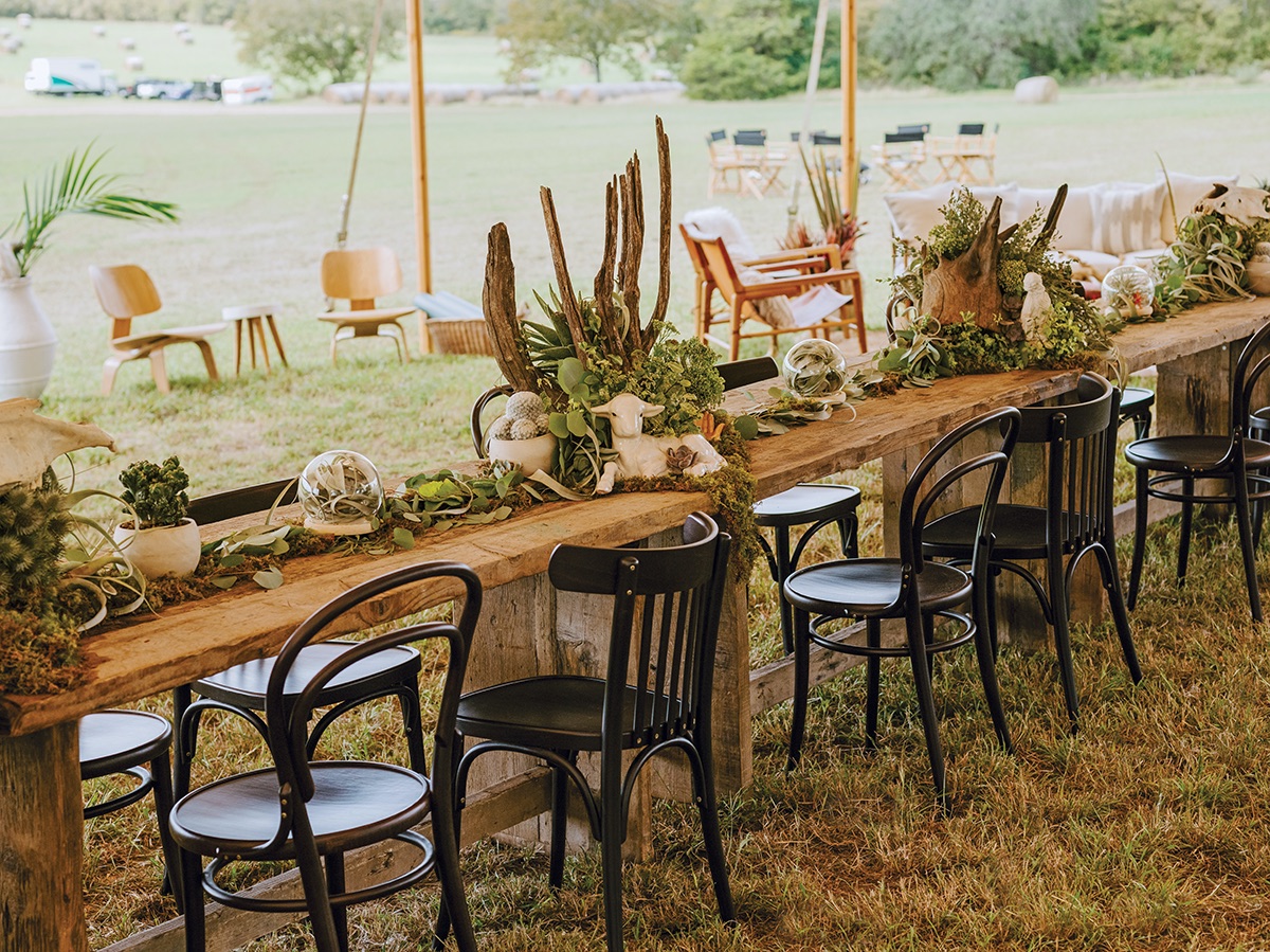 long table with arrangements of succulents, air plants, scabiosa pods, eucalyptus, and moss with driftwood and found objects