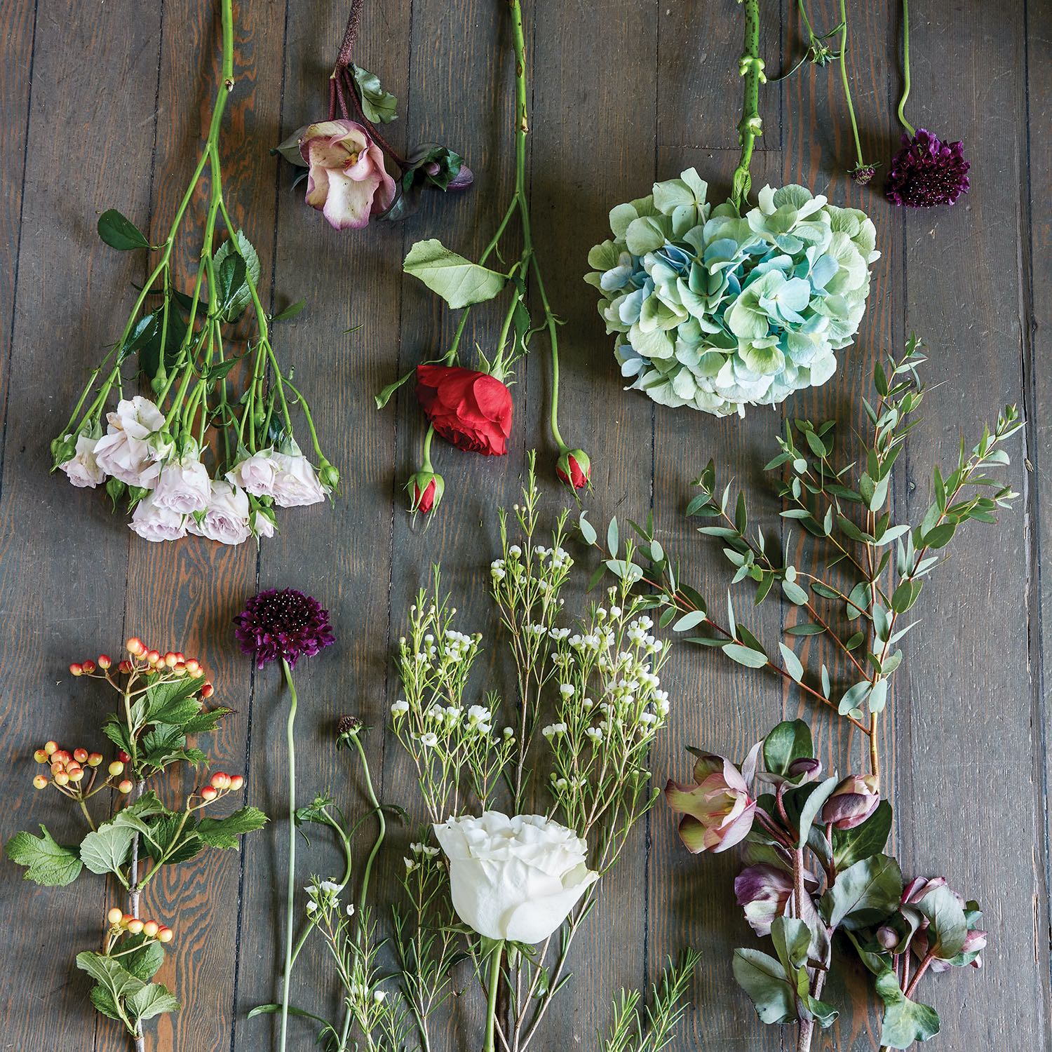 plant and floral materials for making a woodland Christmas wreath