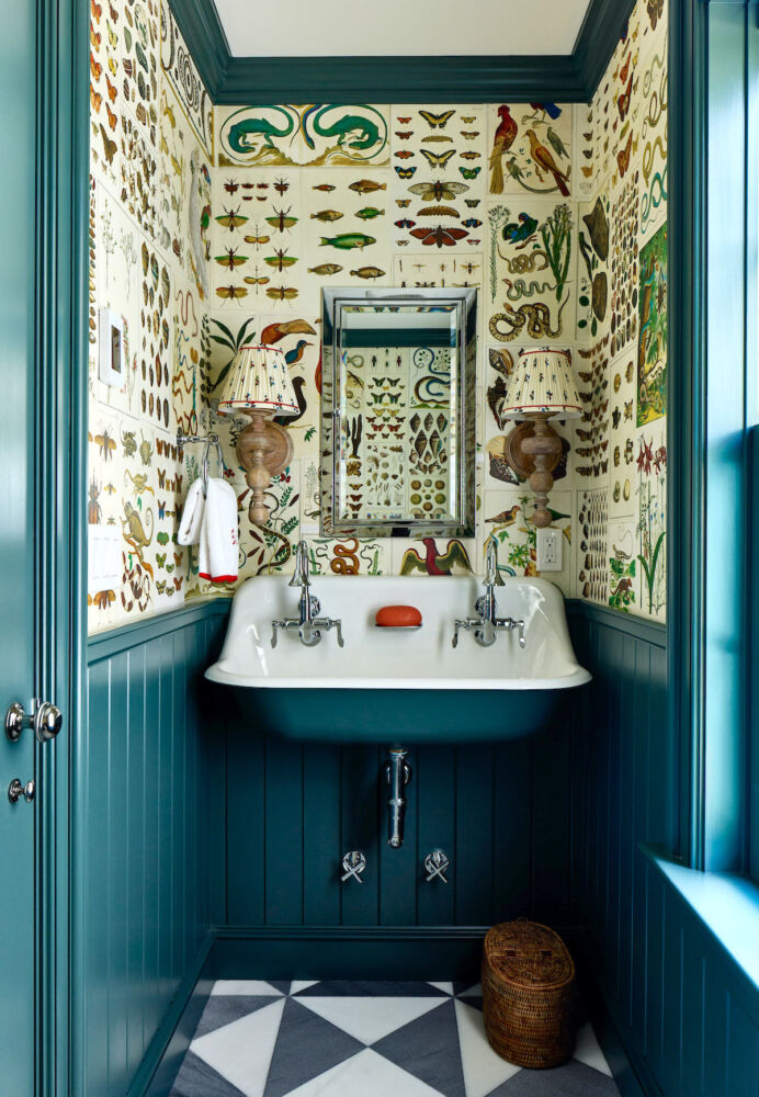 Powder room with teal wainscoting and scientific illustration wall covering. A pair of wooden sconce lamps flank a mirror over the sink.