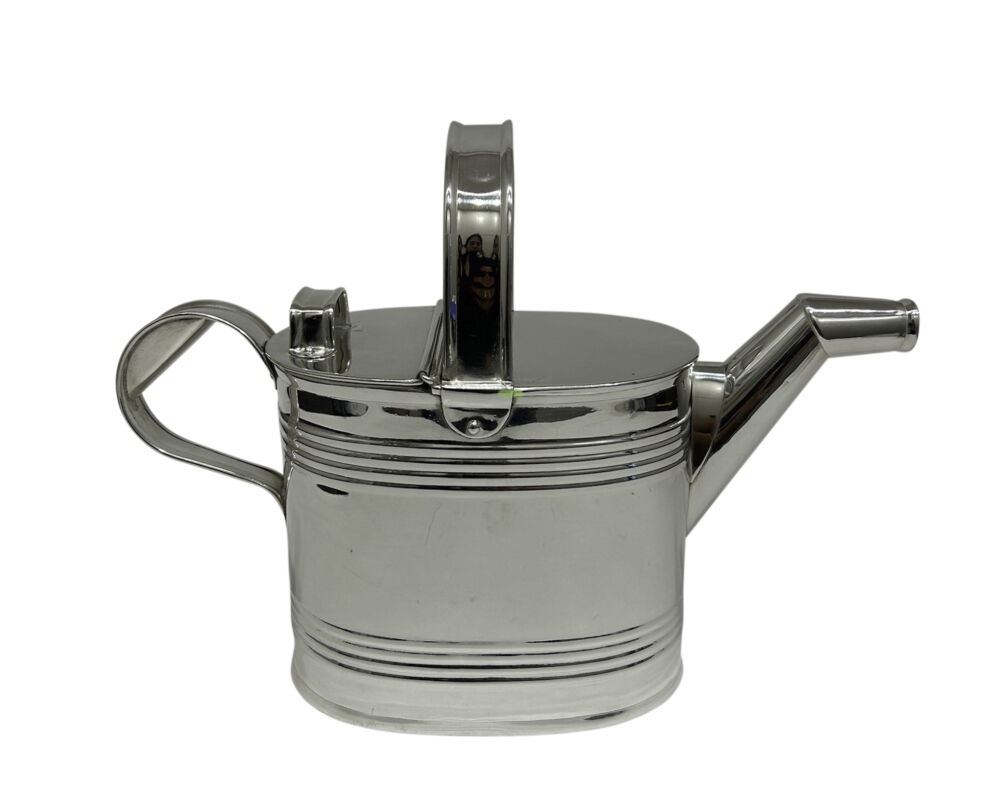 A silver watering can has a white background.