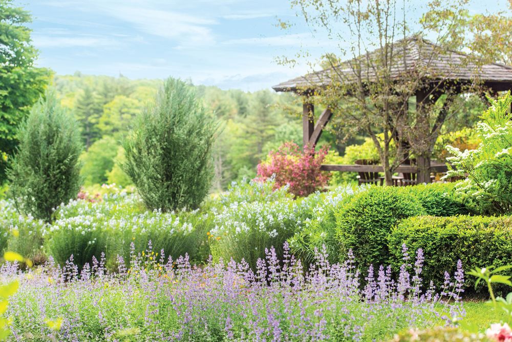 tall purple and white flora in front of a wood gazebo on a hill