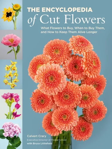 Coral colored mums are on the cover of ENCYCLOPEDIA OF CUT FLOWERS by Calvert Crary.