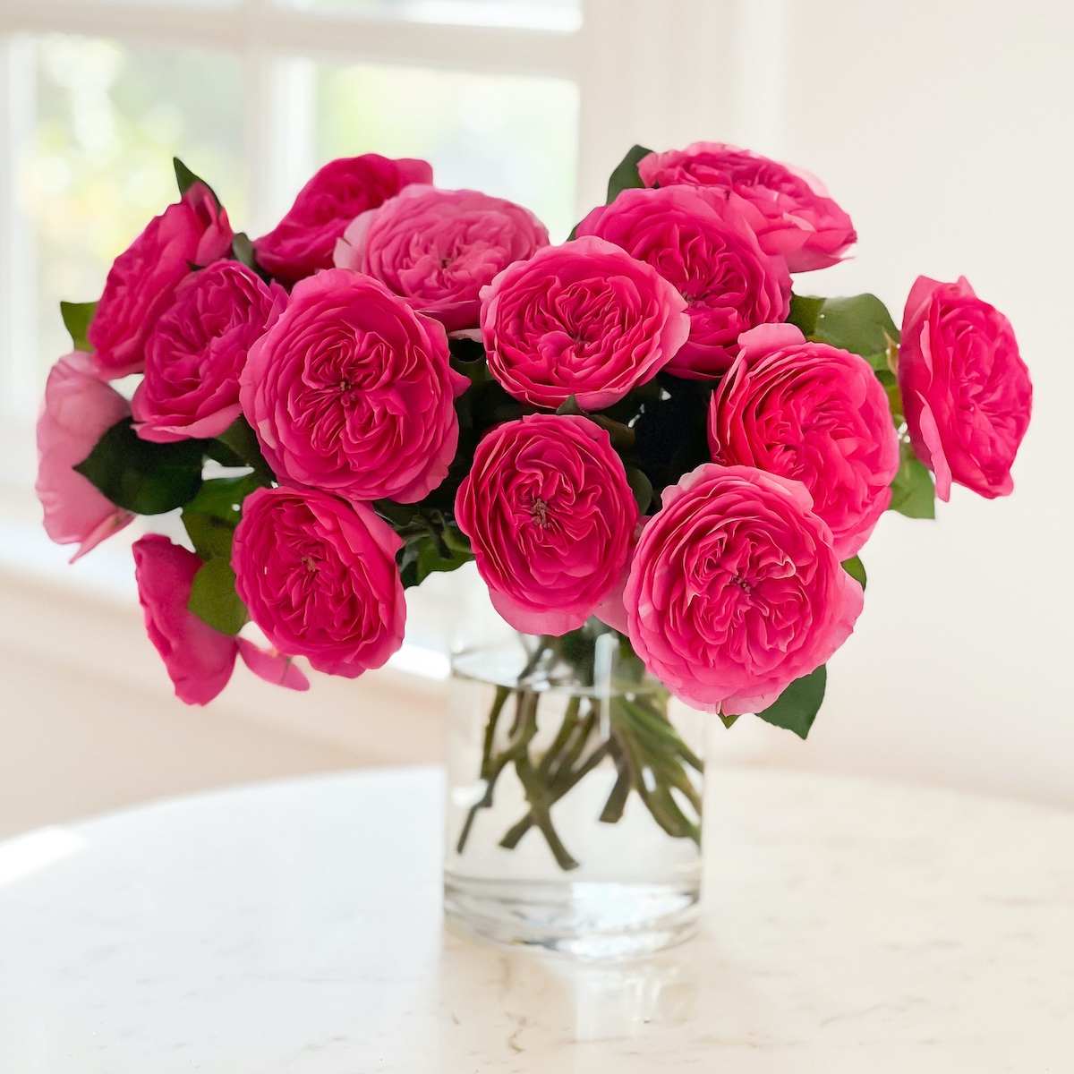 Vase of raspberry pink Baronesse roses from Grace Rose Farm.