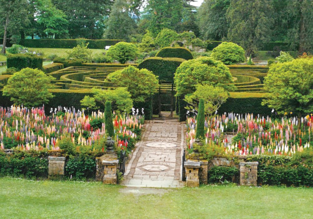 a garden of colorful flora in front of a hedge labyrinth