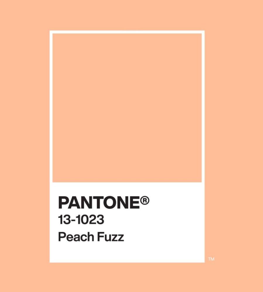 PANTONE 13-1013 Peach Fuzz. Color of the Year.