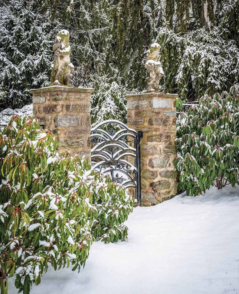Snow covers an iron gate.