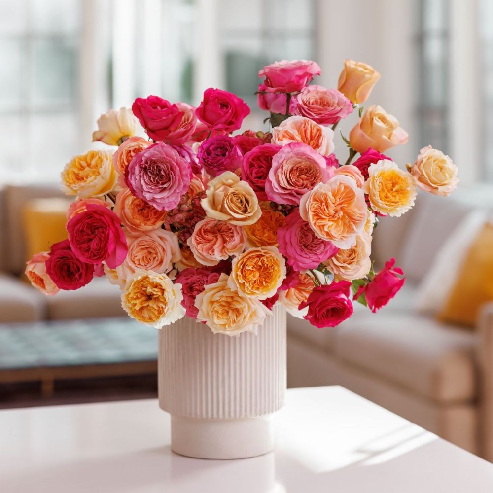 Bright orange and pink roses in a white vase.