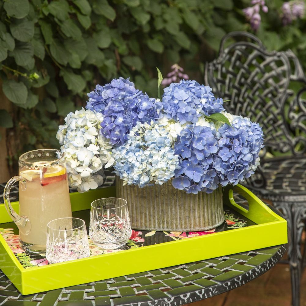 Blue hydrangeas sit on a tray outside.