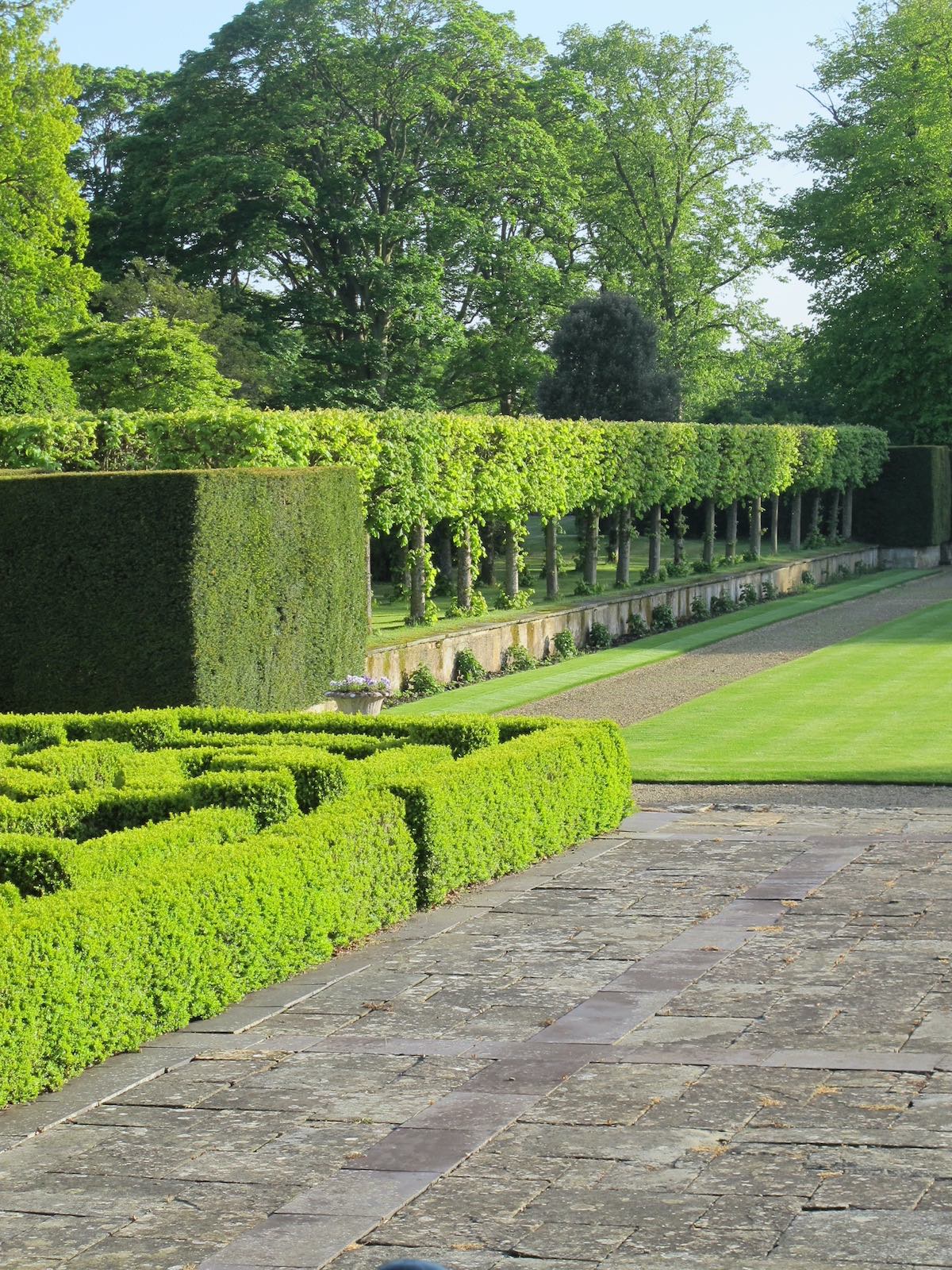 Ditchley house parterre and pleached hornbeam alle